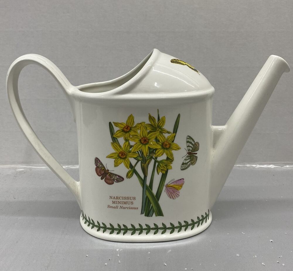 Portmeirion Botanic Garden 3 Pint Watering Can Narcissus Britain Wildflowers